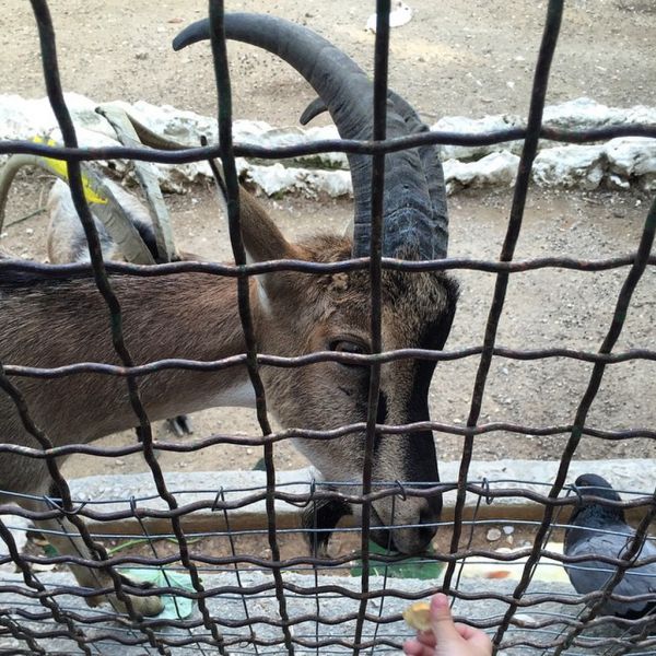 Σταματίνα Τσιμτσιλή: Πώς πέρασε τα γενέθλιά της; (φωτο)