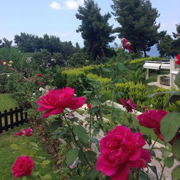 Λατρεύει τον κήπο της η παρουσιάστρια…