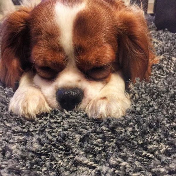  Αυτές οι φωτογραφίες «προδίδουν» την ευτυχία της Καινούργιου για την επανασύνδεση με τον Βασίλη