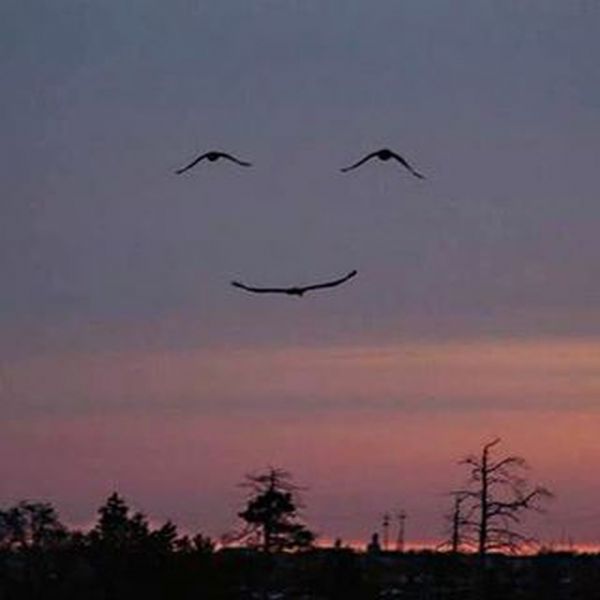  Αυτές οι φωτογραφίες «προδίδουν» την ευτυχία της Καινούργιου για την επανασύνδεση με τον Βασίλη