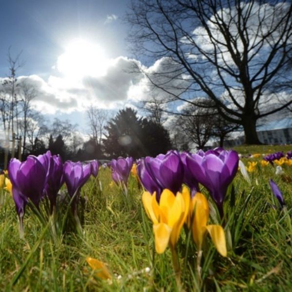 Χρόνια πολλά!