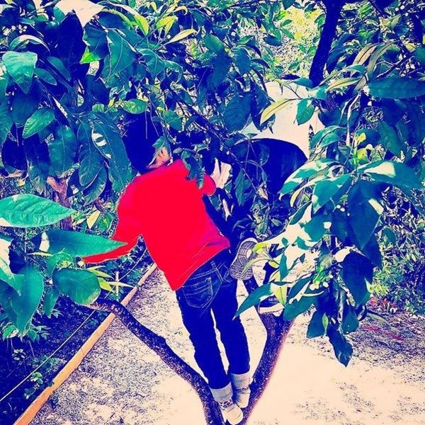 Η Αέλια Κατσούλη σκαρφάλωσε στο δέντρο 