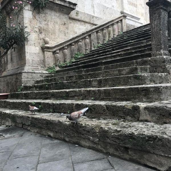 Μελίνα Ασλανίδου-Βασίλης Μουντάκης: Ερωτικό ταξίδι στην Ιταλία