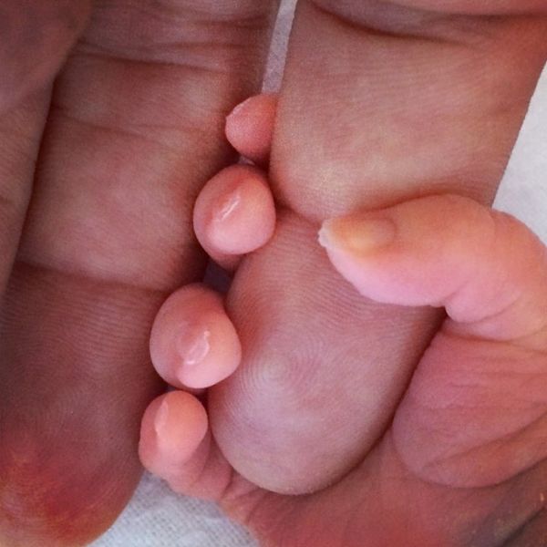 Survivor 2018: O πρώην συνεργάτης του Μάρκου Σεφερλή στο ριάλιτι επιβίωσης! 