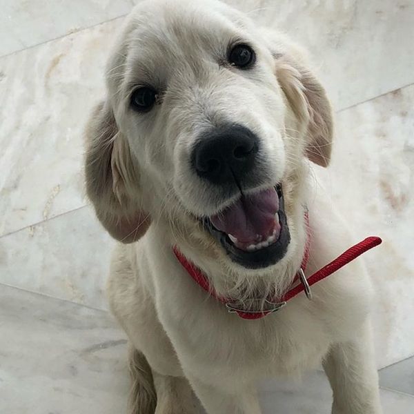 Γιώργος Λιάγκας: Το νέο μέλος και η τρυφερή φωτό με τον γιο του 