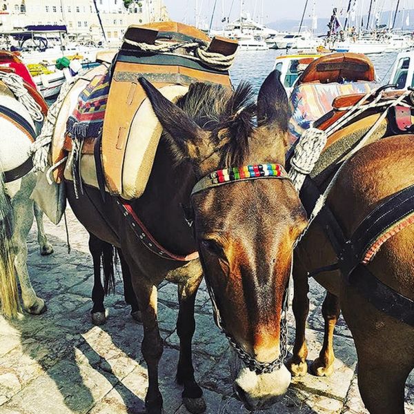 Η Αυστραλή δημοσιογράφος που… ερωτεύτηκε την Ελλάδα