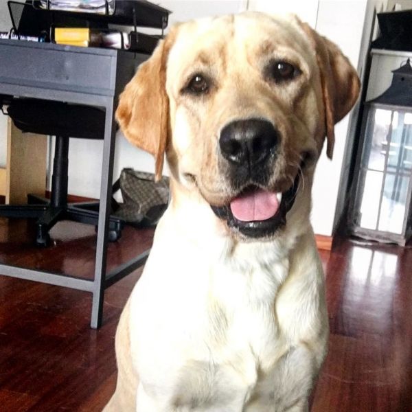 Ιλένια Ουίλιαμς: «Κάθε μέρα μετανιώνω για επιλογές που κάνω»