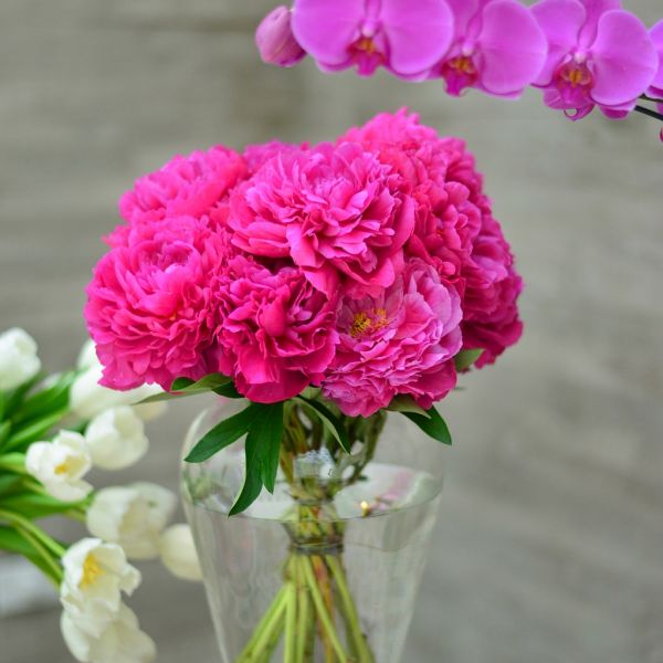 Ξέφρενη bachelorette με τις φίλες της