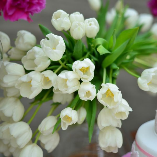 Ξέφρενη bachelorette με τις φίλες της