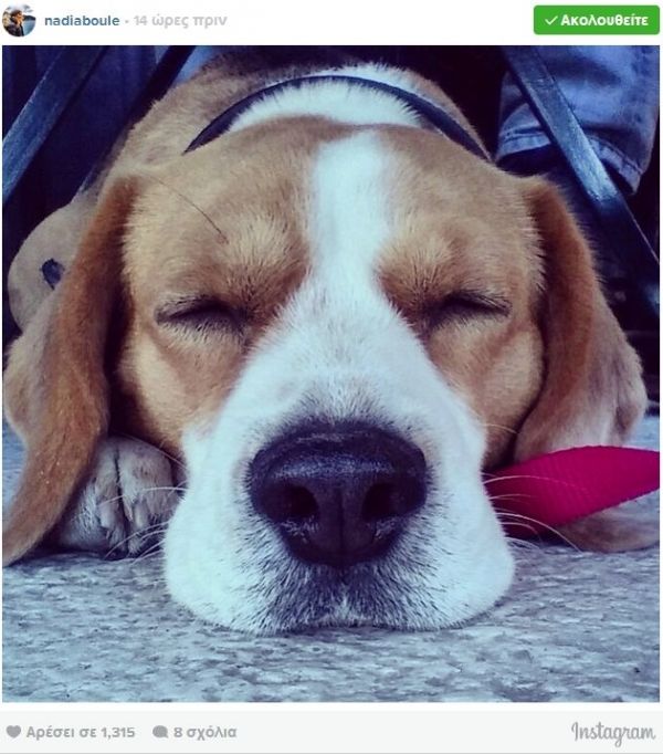 Το παραδοσιακό Πάσχα της Μπουλέ στη Ναύπακτο (φωτό)