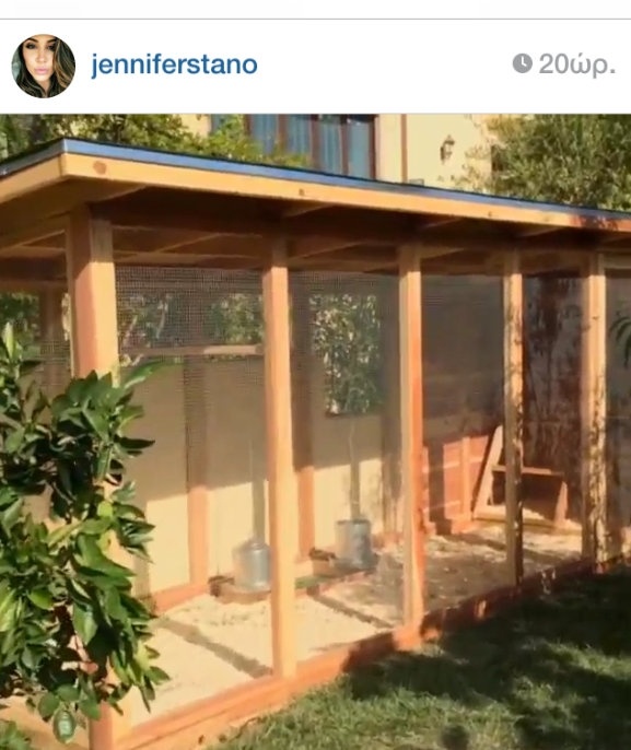 Απίστευτο: Έκανε δώρο στον άντρα της κοτέτσι για τα γενέθλιά του! 