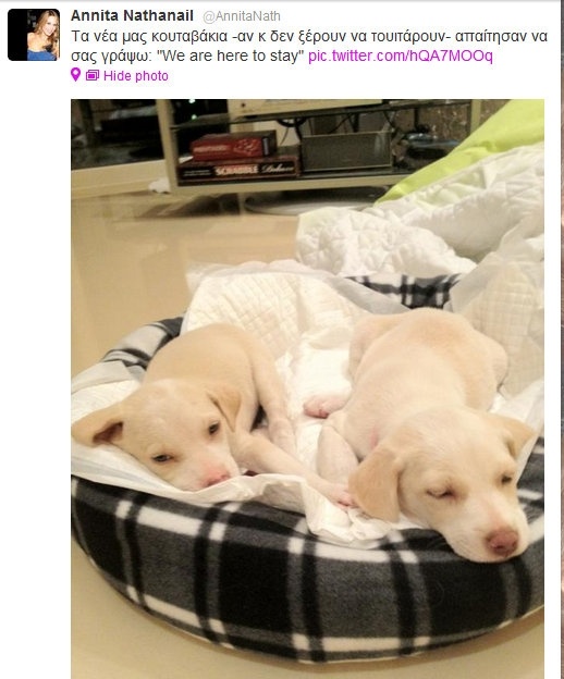 Σε ποια επώνυμη κυρία της σόουμπιζ ανήκουν τα κουταβάκια;