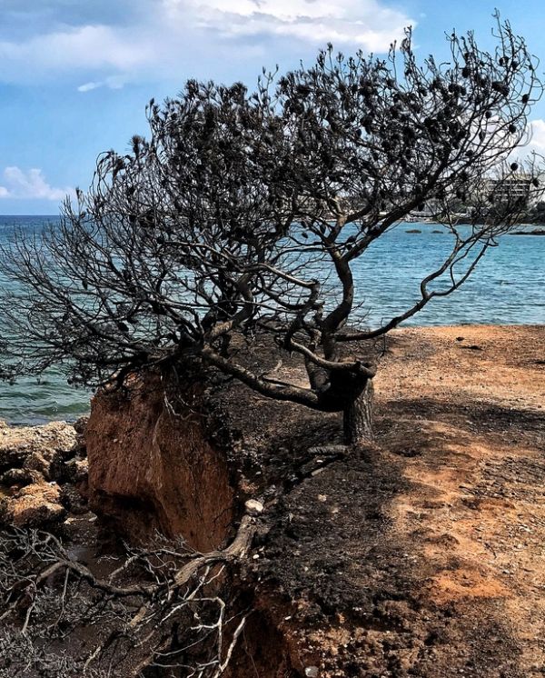  «Δεν χρειάζεται να μετράμε πτώματα για να μας πιάνουν ευαισθησίες»