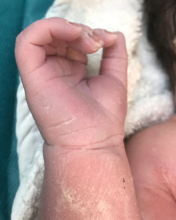 Γεννητούρια στην ελληνική σόουμπιζ 