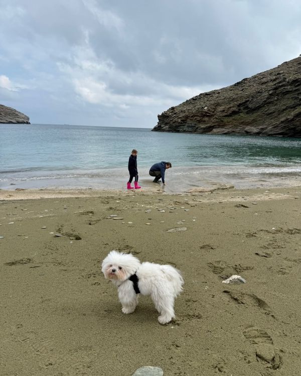 Ελένη Μενεγάκη