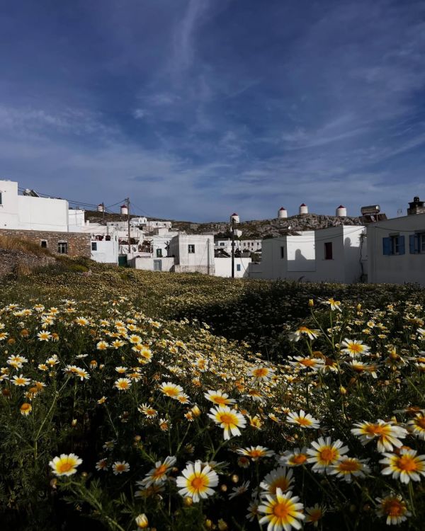 Δανάη Μιχαλάκη