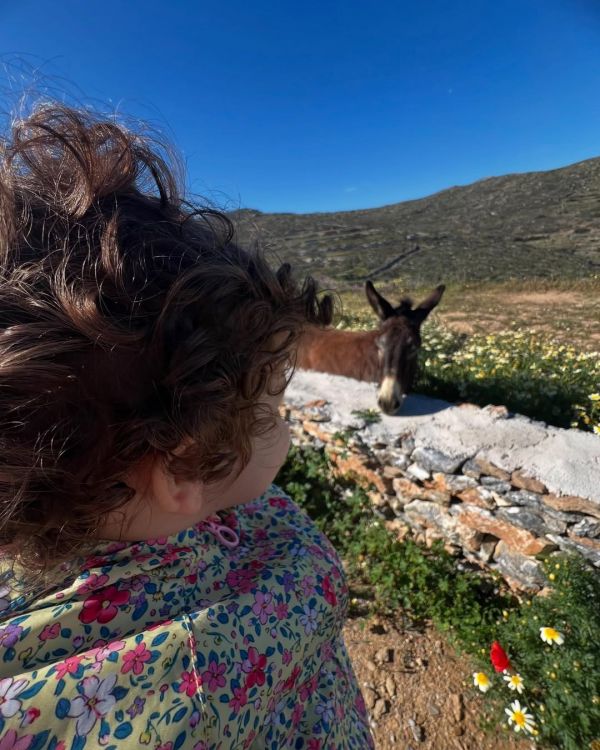 Δανάη Μιχαλάκη