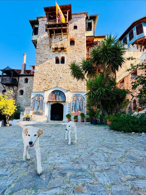 Στέφανος Κωνσταντινίδης