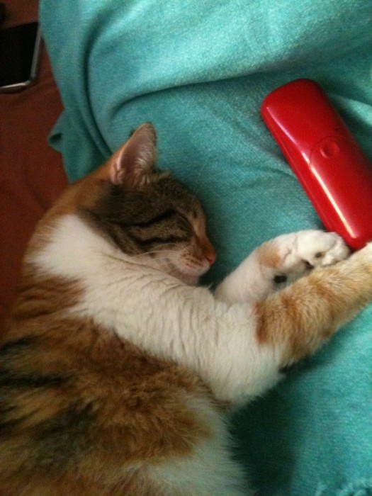 Ποιος δεν αποχωρίστηκε στιγμή τη Μελέτη όταν ήταν άρρωστη; 