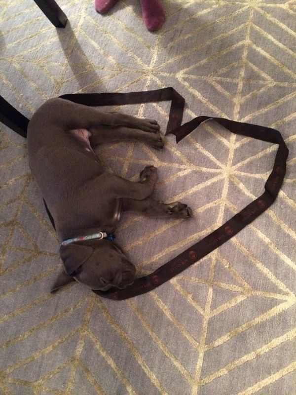 Η τρυφερή εξομολόγηση της Σπυροπούλου: «Σ' αγαπώ για αυτούς τους 6 μήνες που είσαι στη ζωή μου!» 