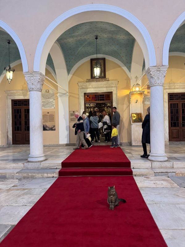 Τόνια Σωτηροπούλου – Κωστής Μαραβέγιας