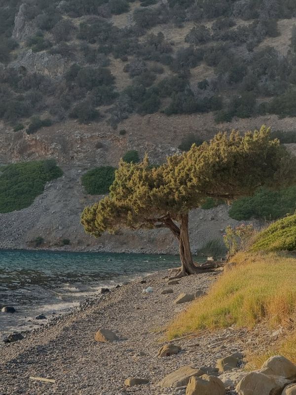 Ευγενία Σαμαρά