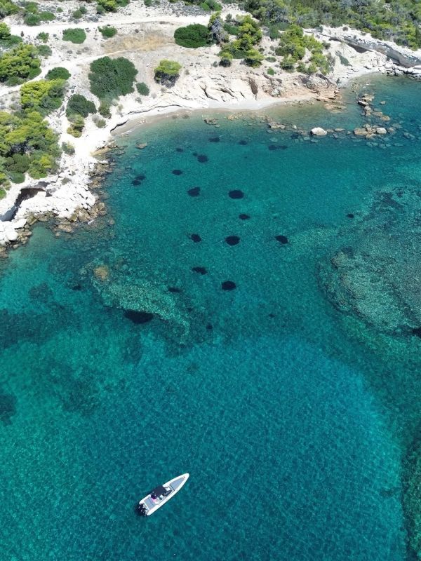 Κατερίνα Στικούδη