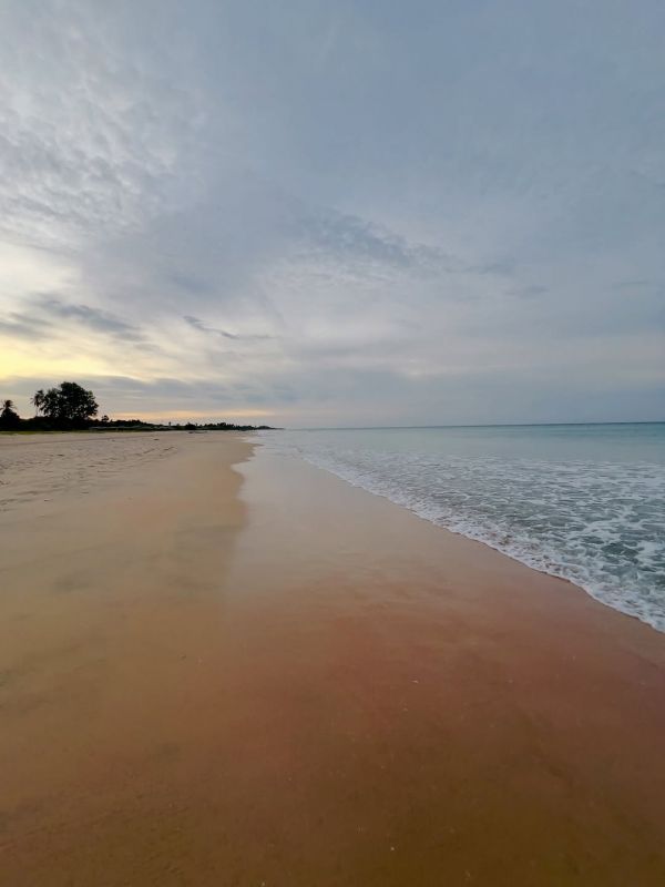 Μιχάλης Κεφαλογιάννης