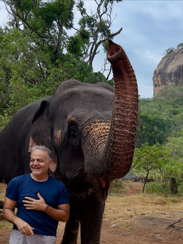 Μιχάλης Κεφαλογιάννης