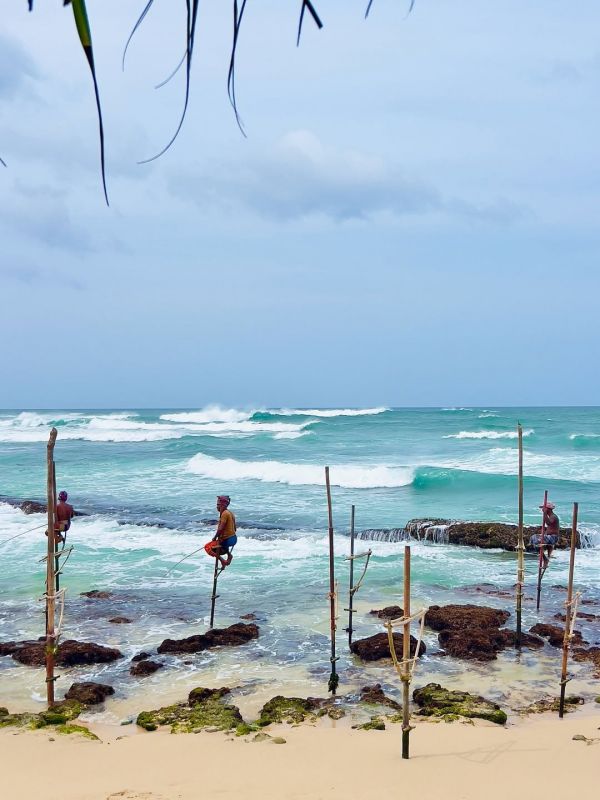 Μιχάλης Κεφαλογιάννης