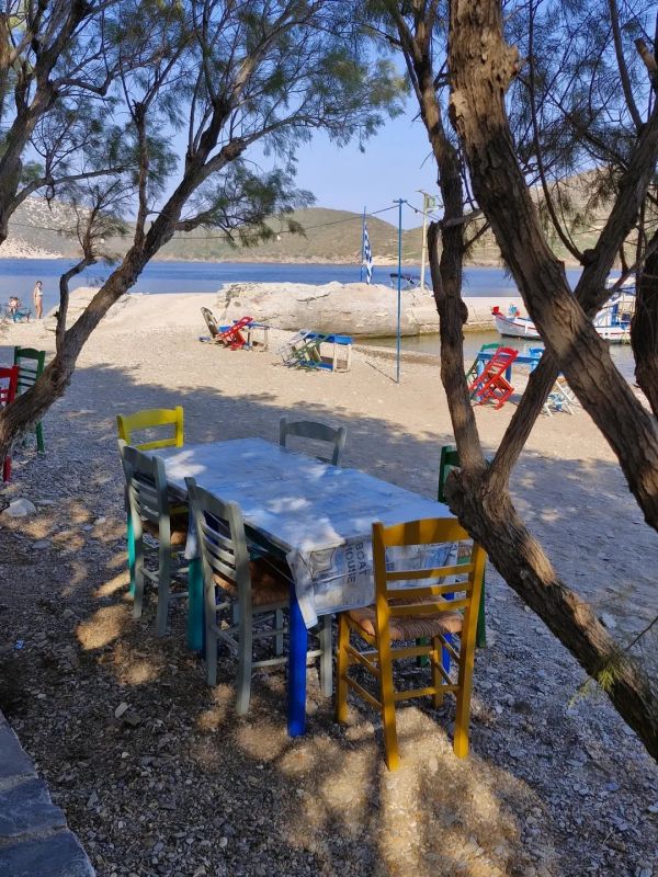 Θεοδώρα Σιάρκου