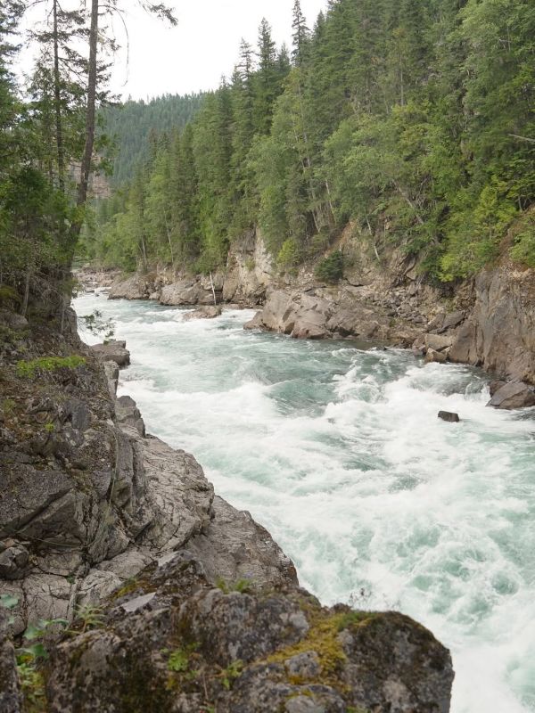 Ευγενία Σαμαρά