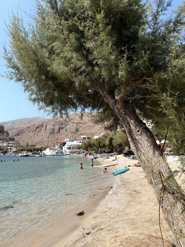 Ηλιάνα Παπαγεωργίου