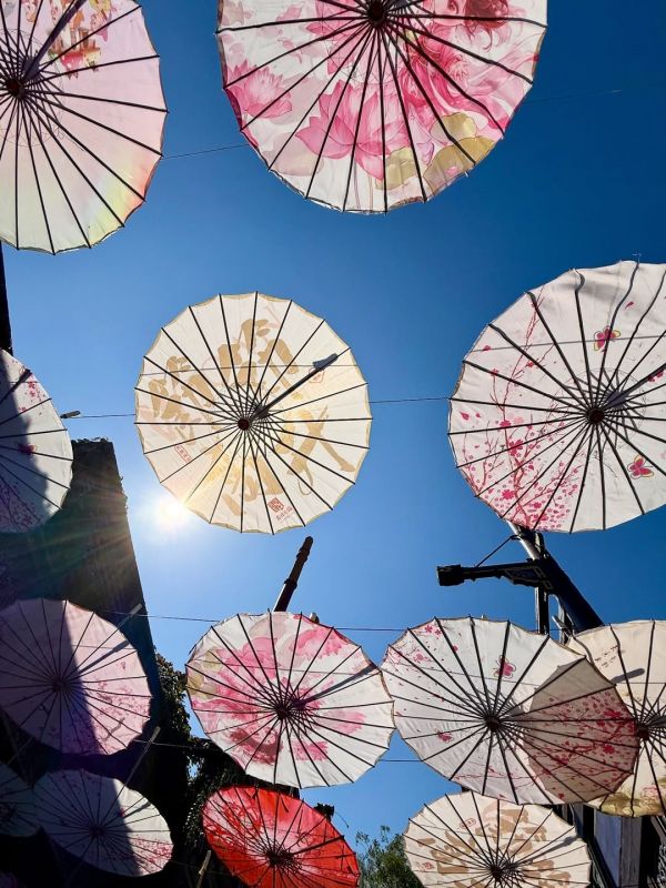 Ηλιάνα Παπαγεωργίου