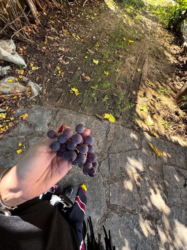 Δανάη Μπάρκα