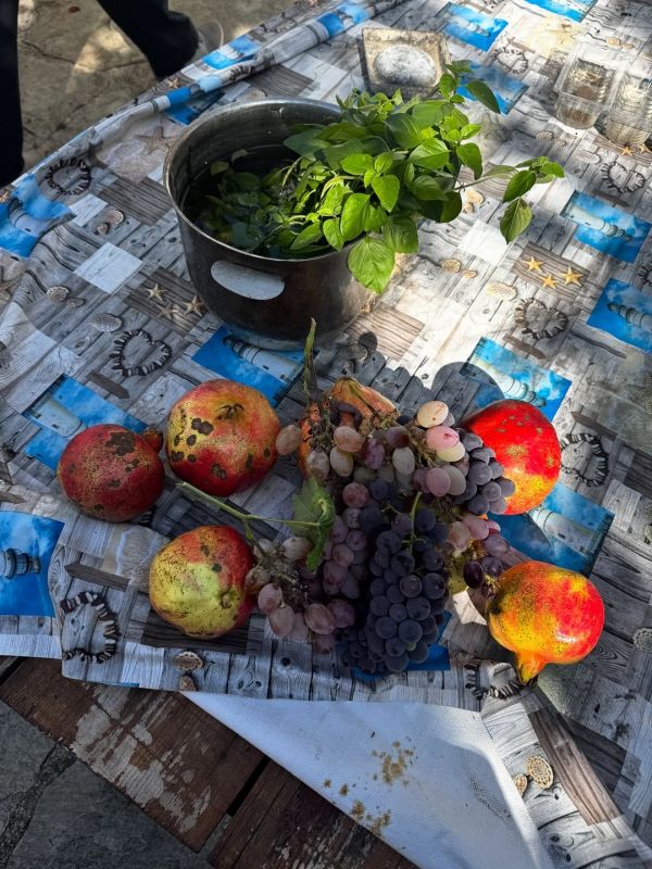 Δανάη Μπάρκα