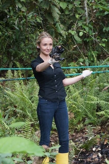 Δεν θα πιστεύετε αυτή η κούκλα ποιανού εγγονή είναι