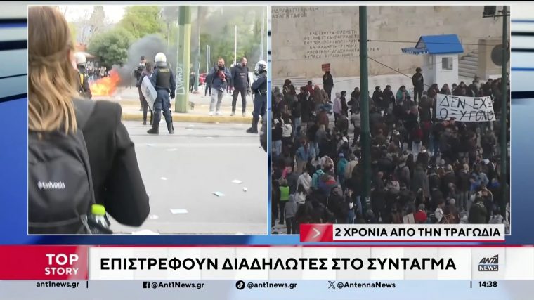 ant1.jpg