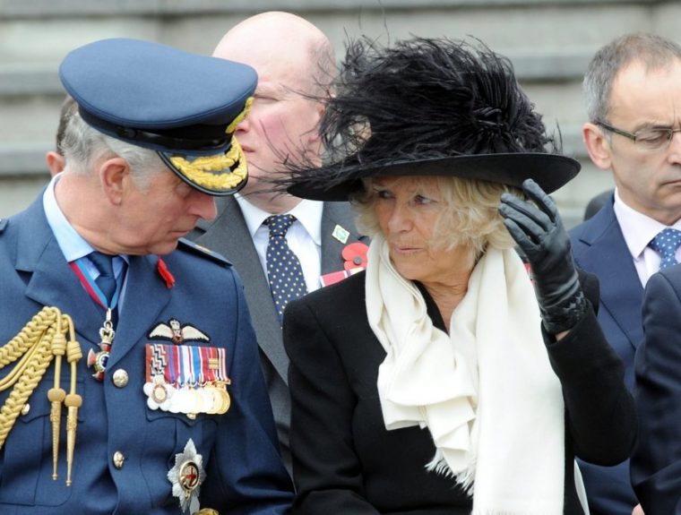 NEW ZEALAND BRITAIN ROYALS