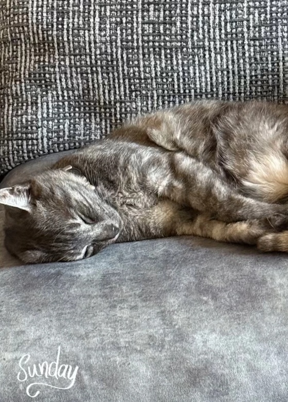 zeta_makripoulia_official