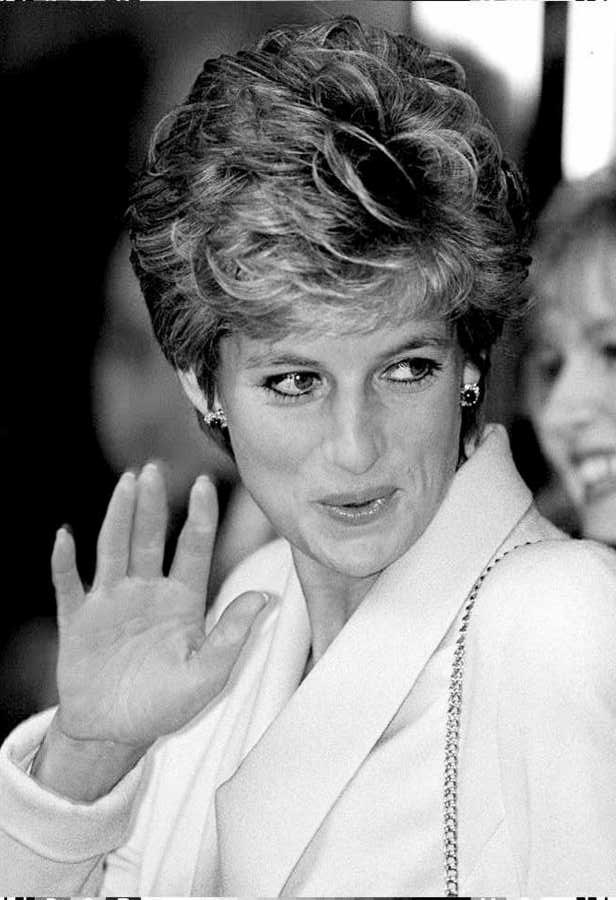 1391982.jpg