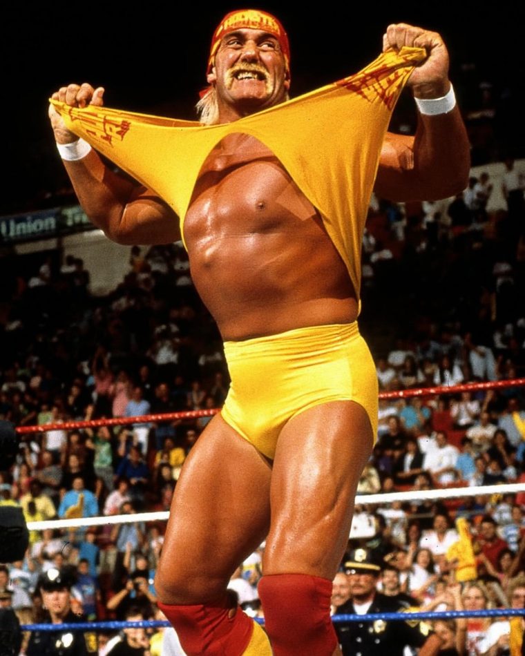 hulkhogan17533811003683950140960858880597600690.jpg