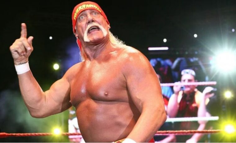 hogan-hulk-768x466.jpg