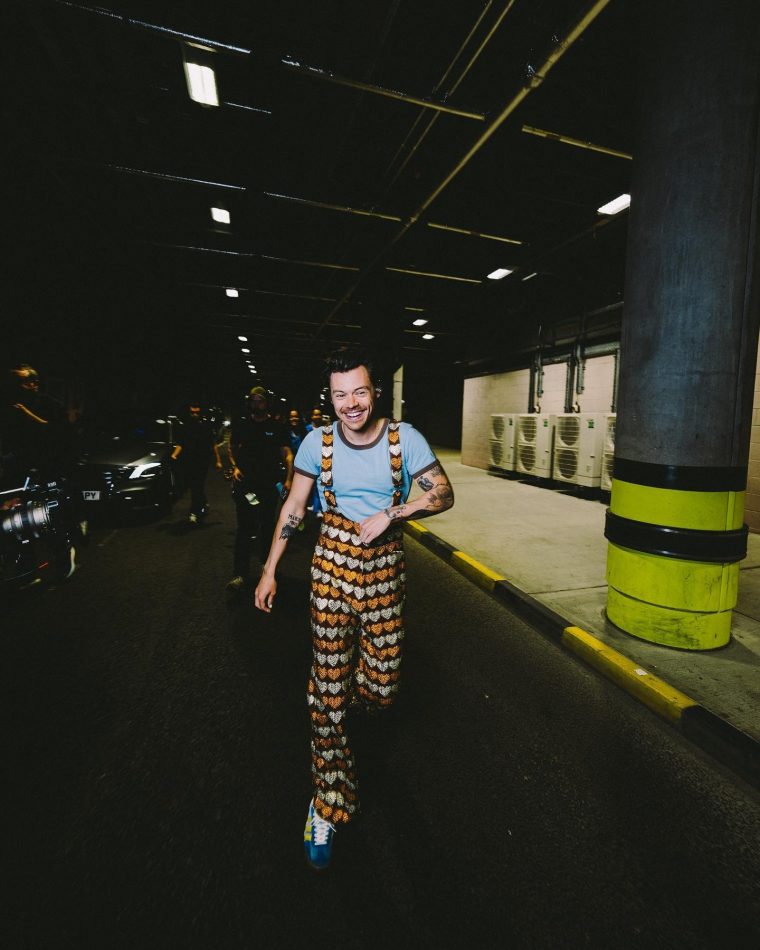 harrystyles16868302103125680814090776499144605776.jpg