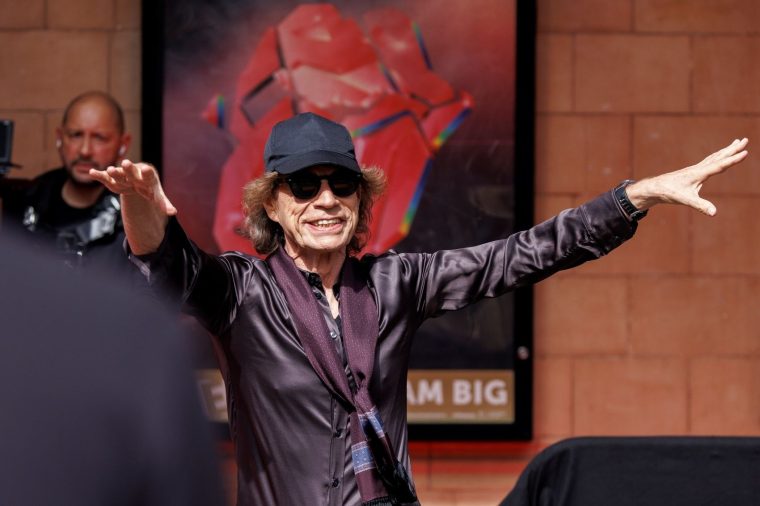 mick-jagger-ape-mpe.jpg
