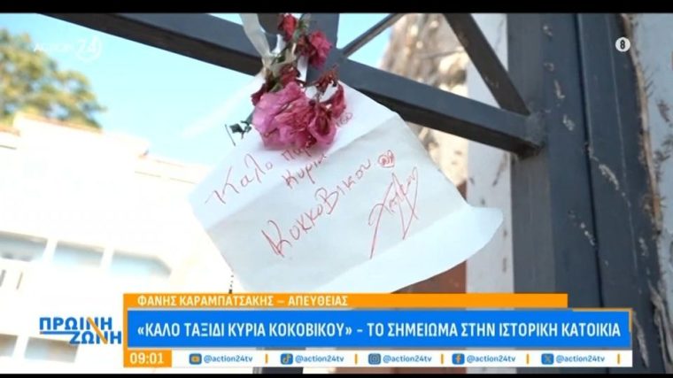 kokovikou.jpg