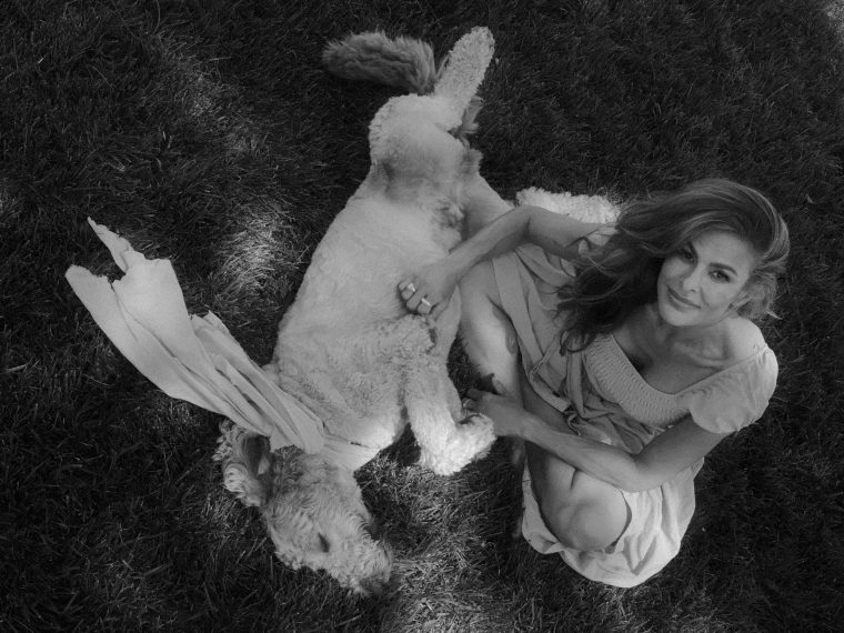 evamendes-395574036568904918316999752933-20260803211700.jpg