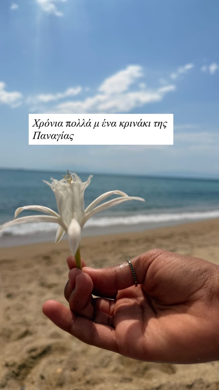 nancyzabetoglou-497914942-20260815133144.jpg