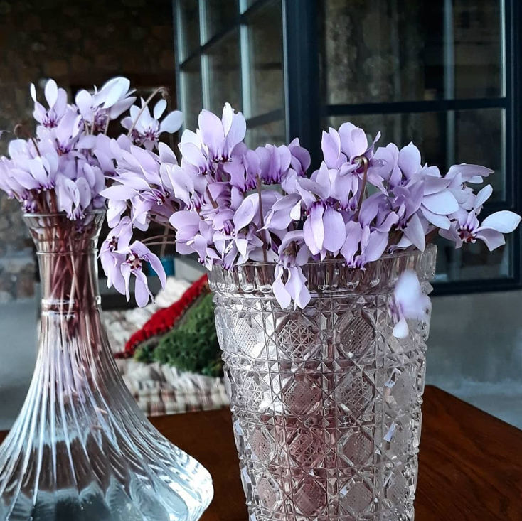 Εξοχικό Λεκάκη 